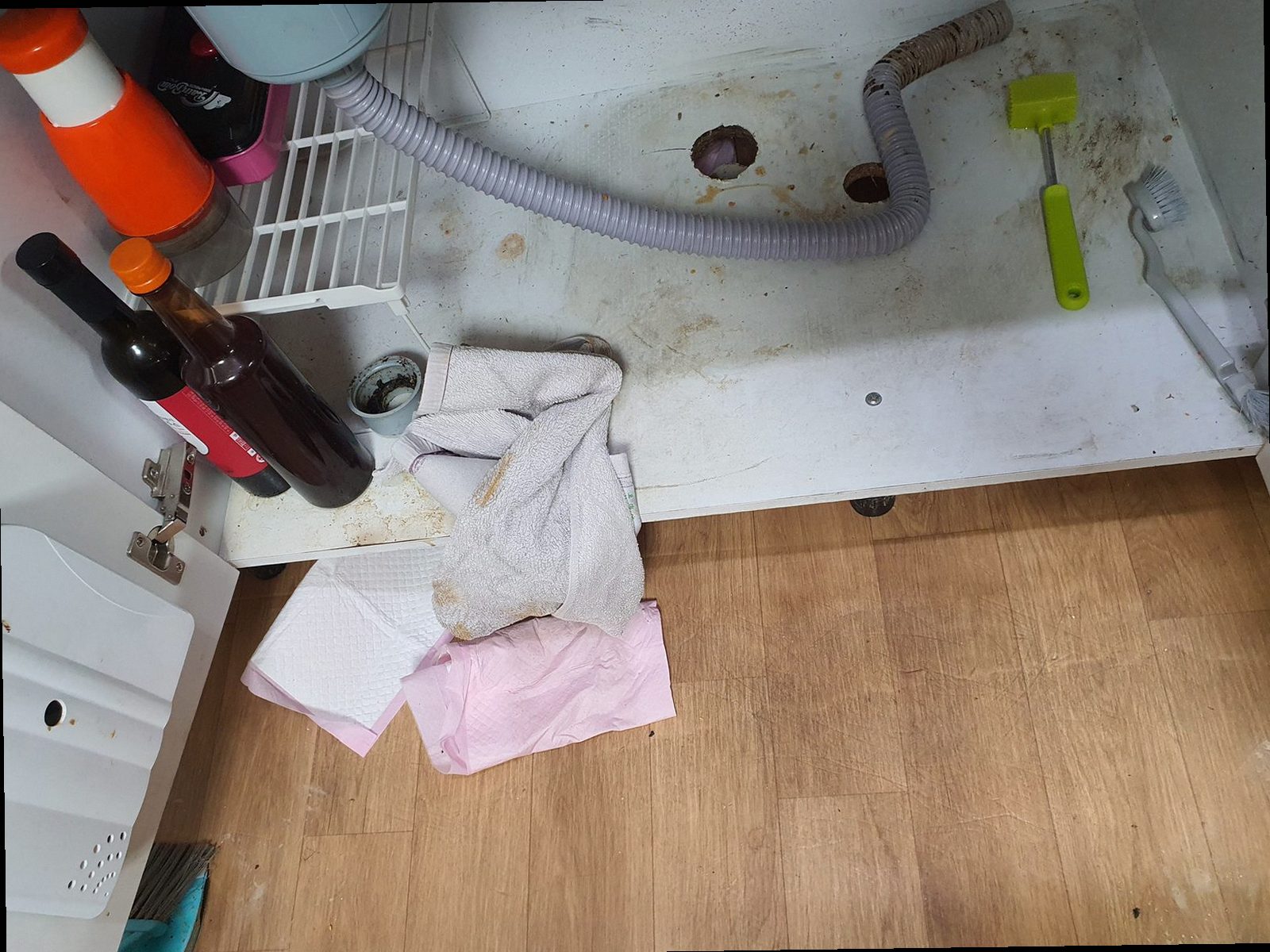 중랑구 상봉동 하수구막힘 정화조 펌핑 3단계로 정리한 현장 사례