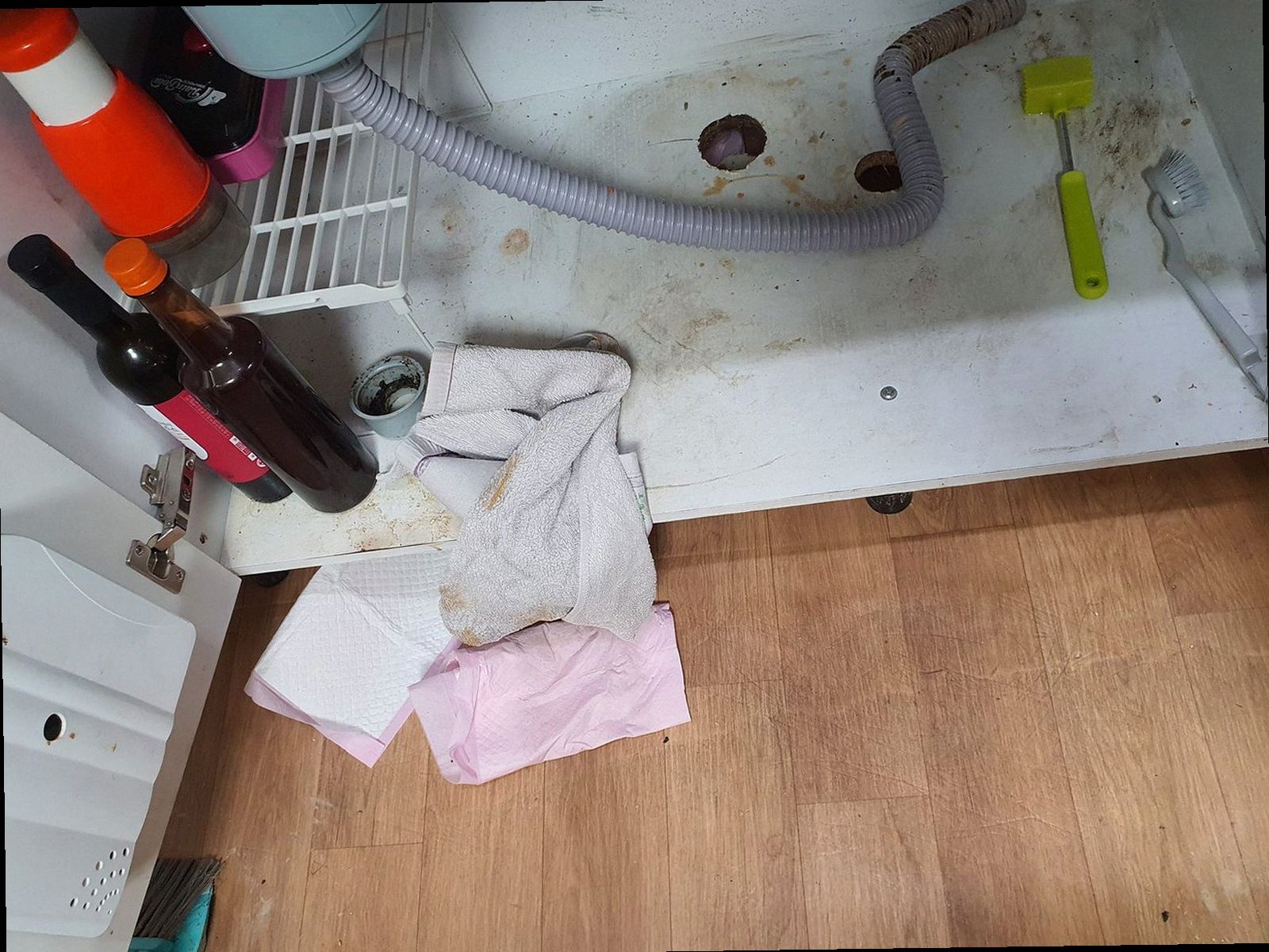 충남 하수구막힘 아산시