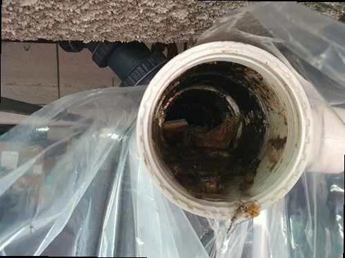 경기 일산 하수구막힘 하수구 역류 비용 반복되는 역류의 원인을 찾다
