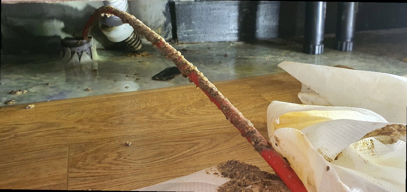 광주시 중대동 하수구막힘 변기 배관 막힘 점검이 필요한 3가지 신호