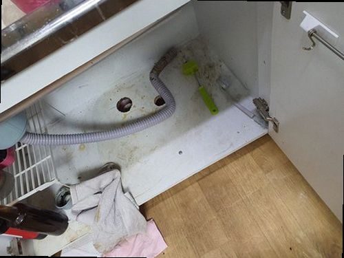 연천 하수구막힘 전곡읍 하수구막힘 반지하 침수 역류 빠른 확인과 대응