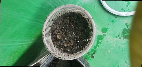 남양주시 지금동 하수구막힘 싱크대 막힘 약품 왜 약품만으로는 안 뚫릴까?