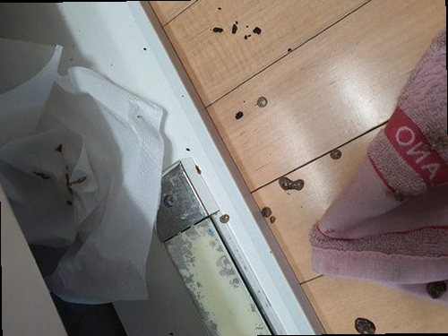 동두천 하수구막힘 싱크대 아래 배관과 배수 상태를 확인하는 현장 점검