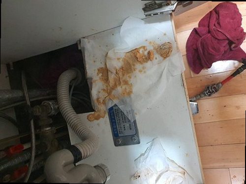 덕양구 하수구막힘 배관 내부 상태를 확인하는 점검 카메라 장비