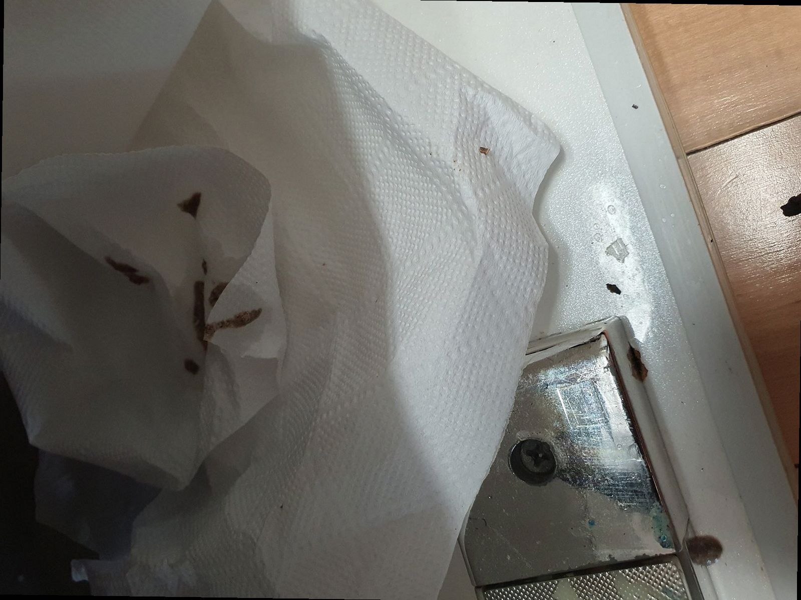 분당구 정자2동 하수구막힘 싱크대 거름망 막힘 막힘 원인부터 해결까지