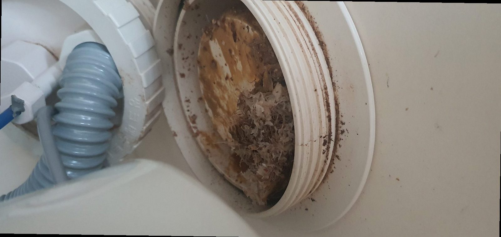 중원구 도촌동 하수구막힘 변기 휴지 막힘 막힘을 끝내는 점검 순서