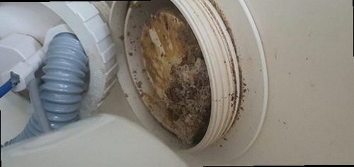 권선구 하수구막힘 입북동 하수구막힘 변기 생리대 막힘 뚫어뻥과 스네이크, 선택 기준