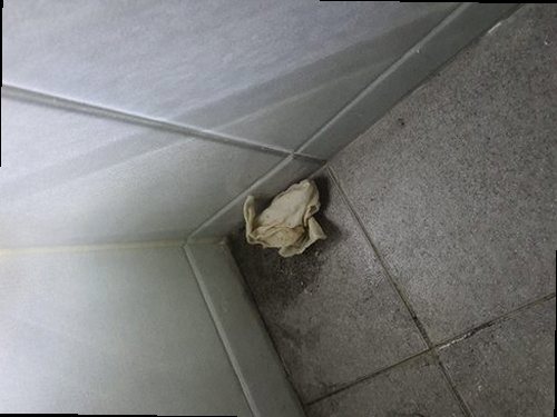 팔달구 하수구막힘 내시경 카메라로 배관 내부를 확인하는 과정