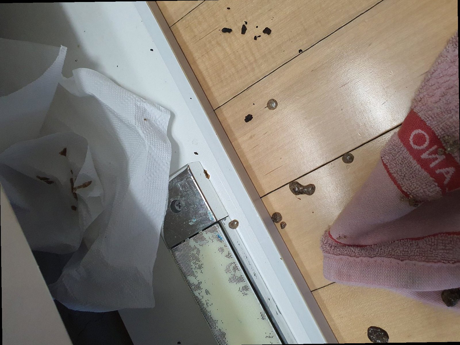 상록구 하수구막힘 배관 내부를 확인하는 내시경 점검 장면
