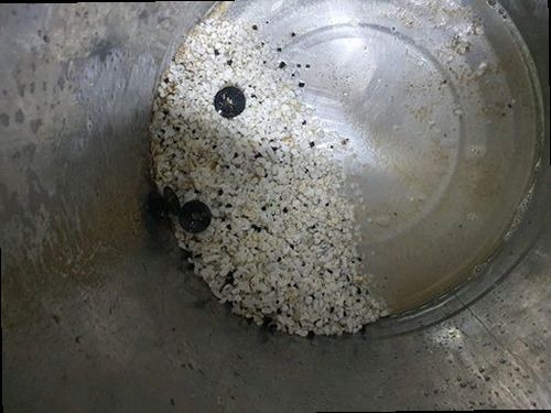 동안구 하수구막힘 평안동 하수구막힘 하수관 고압세척 막힘의 원인과 기본