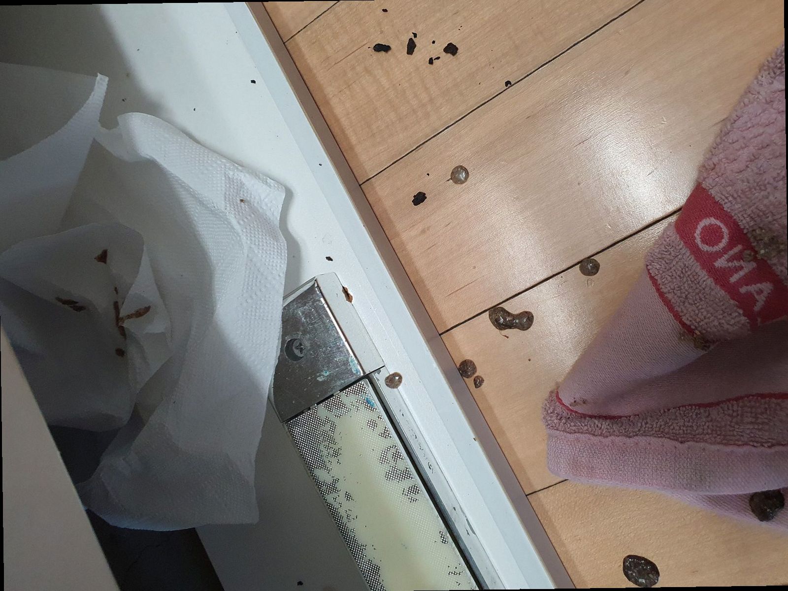 수지구 하수구막힘 배수 상태와 막힌 위치를 점검하는 현장 진단 장면
