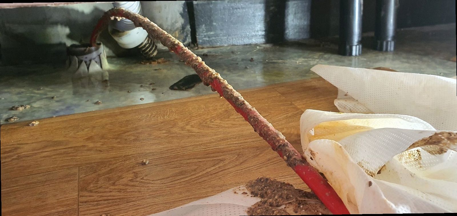 수지구 죽전1동 하수구막힘 화변기 막힘 확인해야 할 5가지