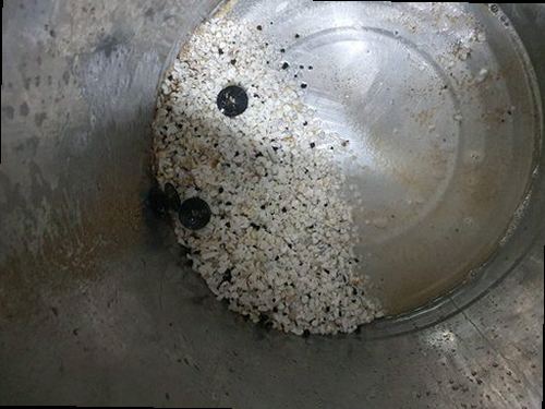 일산서구 하수구막힘 고압 세척과 배관 내부 확인 작업을 진행하는 장면