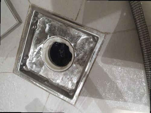 일산서구 하수구막힘 탄현1동 하수구막힘 욕실 배수구 역류 직접 비교해보니 해결법이 달랐다