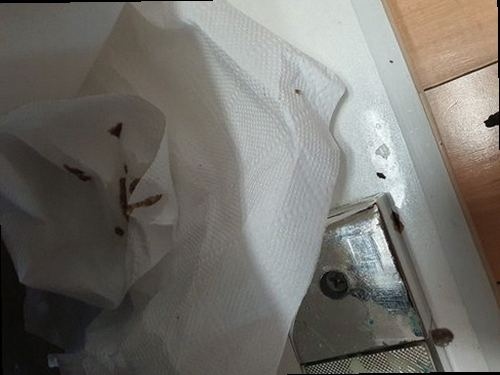 옹진군 하수구막힘 북도면 하수구막힘 싱크대 하수구 막힘 느린 배수 원인부터 해결까지