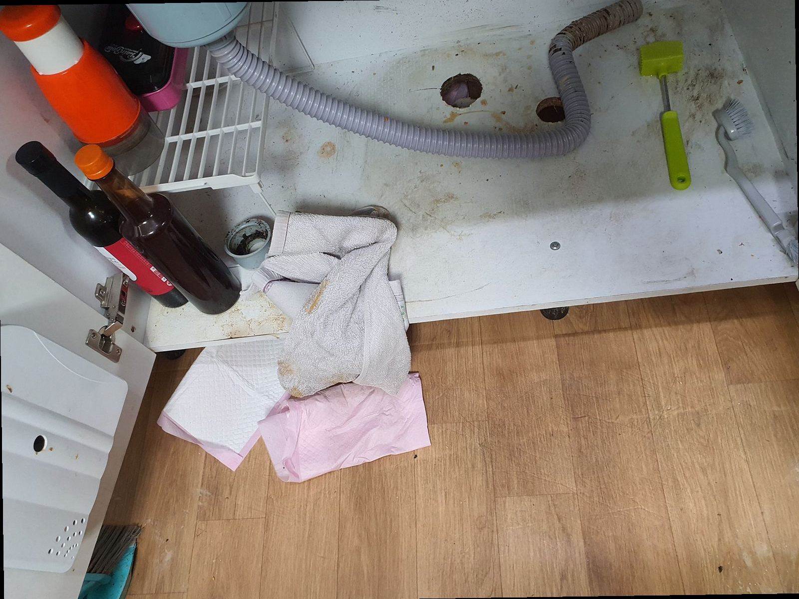 옹진군 하수구막힘 배수 상태를 점검하는 배관 내부 확인 장면