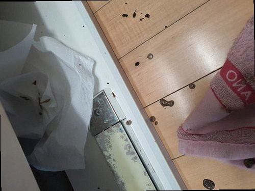옹진군 하수구막힘 영흥면 하수구막힘 싱크대 물 천천히 빠짐 천천히 빠지는 물의 뜻