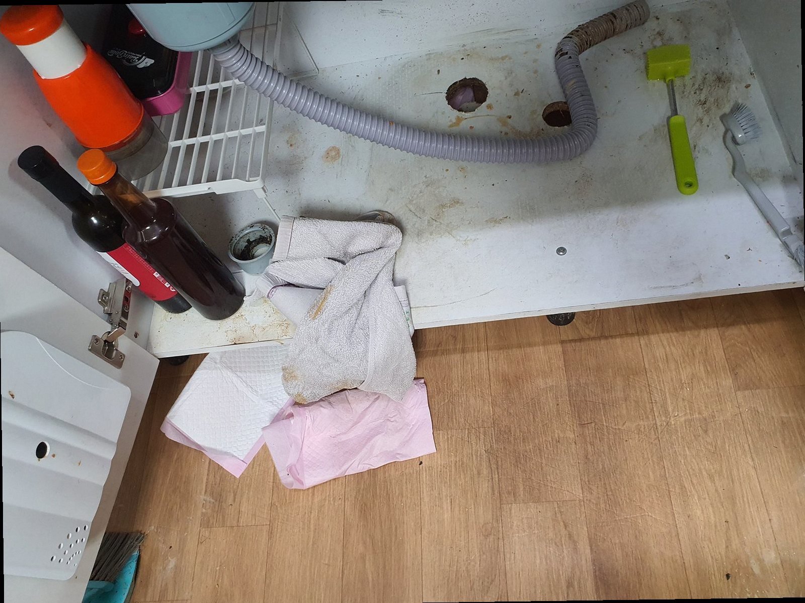 아산시 하수구막힘 배관 내부 상태를 확인하는 내시경 점검 장면