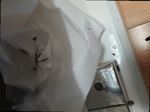 금산군 하수구막힘 싱크대막힘