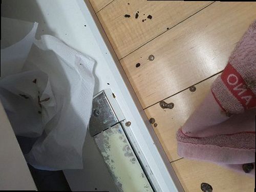 옥천군 하수구막힘 군북면 하수구막힘 싱크대 물 안빠짐 막히기 전후 먼저 확인할 항목