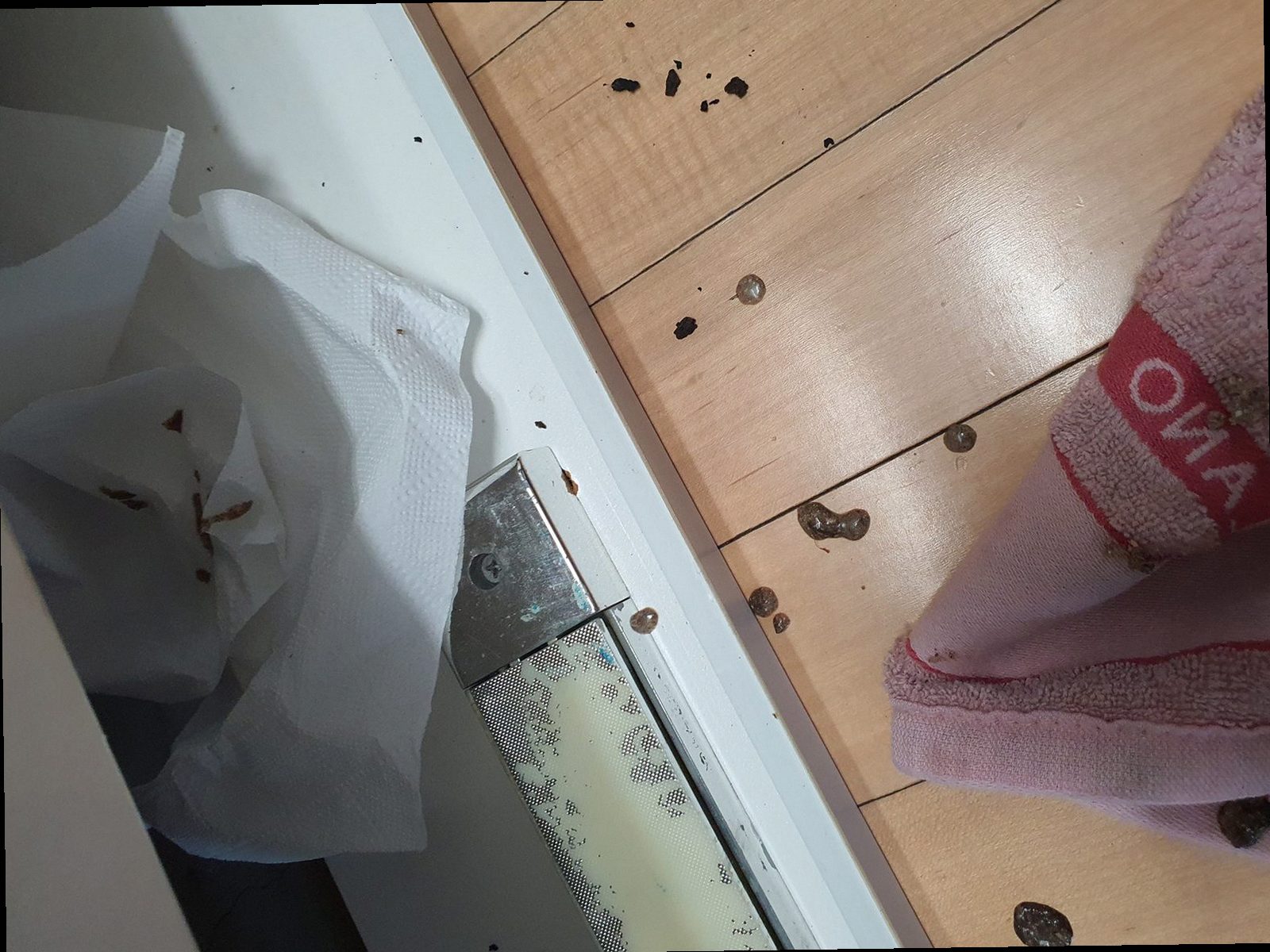 광진구 하수구막힘 화양동 하수구막힘 싱크대 물 안빠짐 막힘 원인부터 해결까지