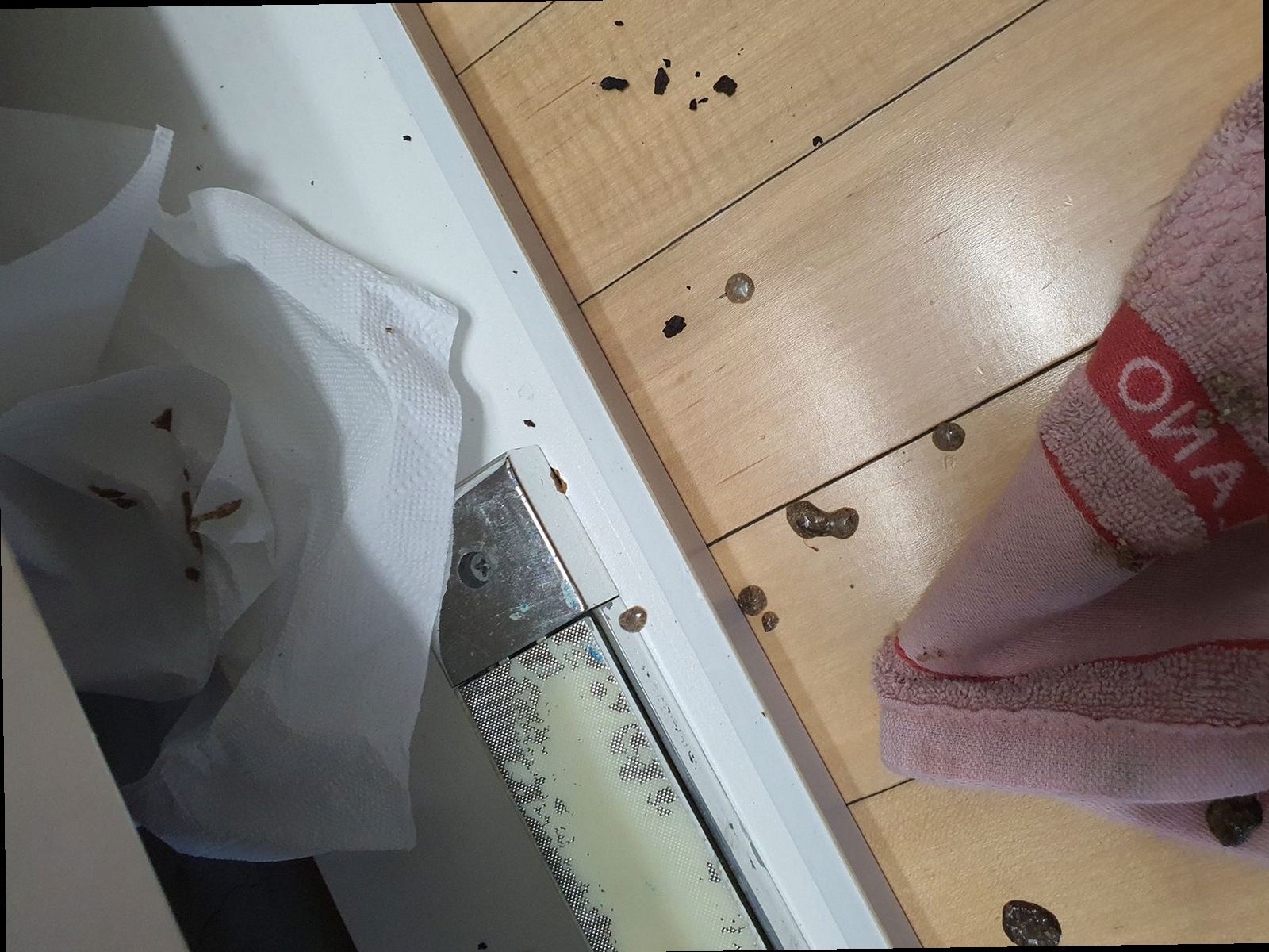 금천구 하수구막힘 배수구 내부 점검과 세척 과정을 보여주는 안내 이미지